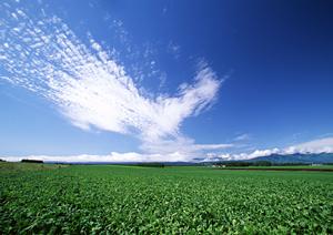静岡県富士宮市の信頼の葬儀場・家族葬ホール【富士葬祭 三園平】永遠の別れを丁寧にサポート