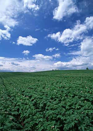 静岡市で信頼できる葬儀を低価格で提供する【家族葬のタクセル】の特徴と店舗詳細