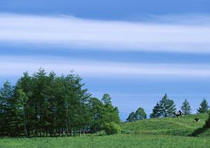 栃木県宇都宮市の信頼と実績を誇る出張葬儀サービス：さがみ典礼 中戸祭の特徴とメリット