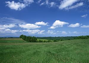 千葉県野田市にある安心の葬儀サービス「ティア野田」の特徴と店舗情報