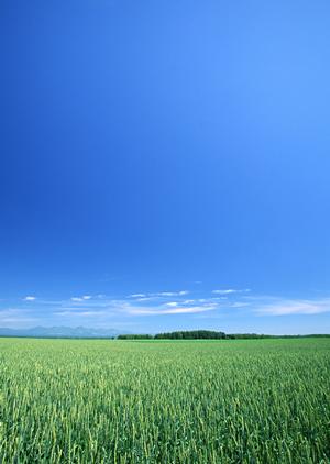 静岡県富士宮市で選ばれる葬儀場の特徴とメリット｜富士葬祭 田中町のご案内