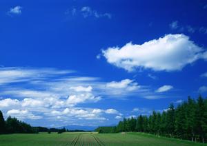 【2023年10月新規オープン】富士宮市の家族葬に最適な「家族葬のタクセル宮原」―低価格かつプライベートな葬儀サービス