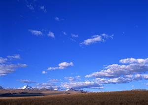 さいたまで家族葬の相談ならＥ葬儀屋