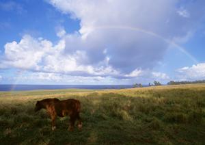 浜松市中心部にある信頼の葬儀場、富士葬祭 高林の特徴とサービス詳細