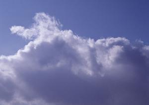 静岡市で信頼できる葬儀場をお探しなら【富士葬祭 瀬名】 ? 家族葬・一般葬に対応した高品質な葬儀サービスのご案内