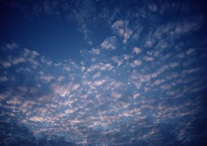 足利市で信頼できる葬儀場：さがみ典礼 助戸東山の特徴と詳細情報